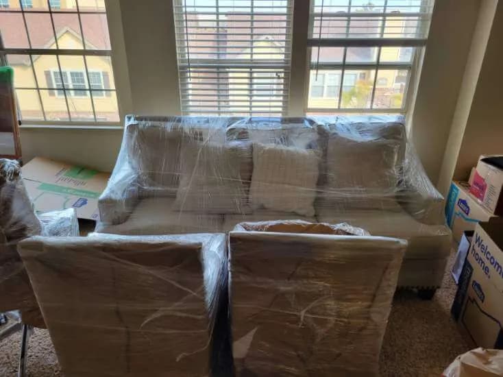 In & Out No Doubt crew packing for a move