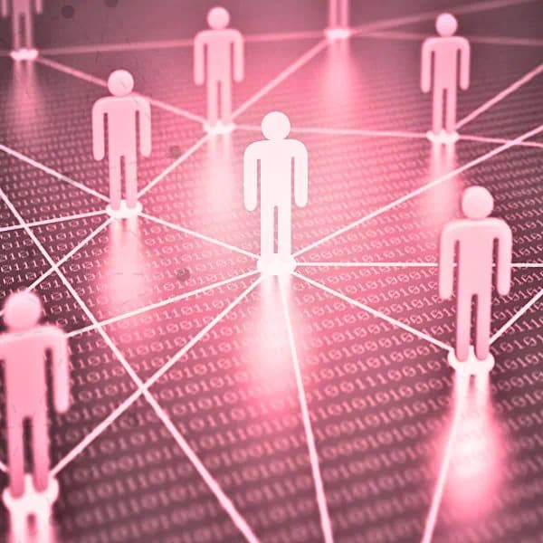 A network of connected partners
